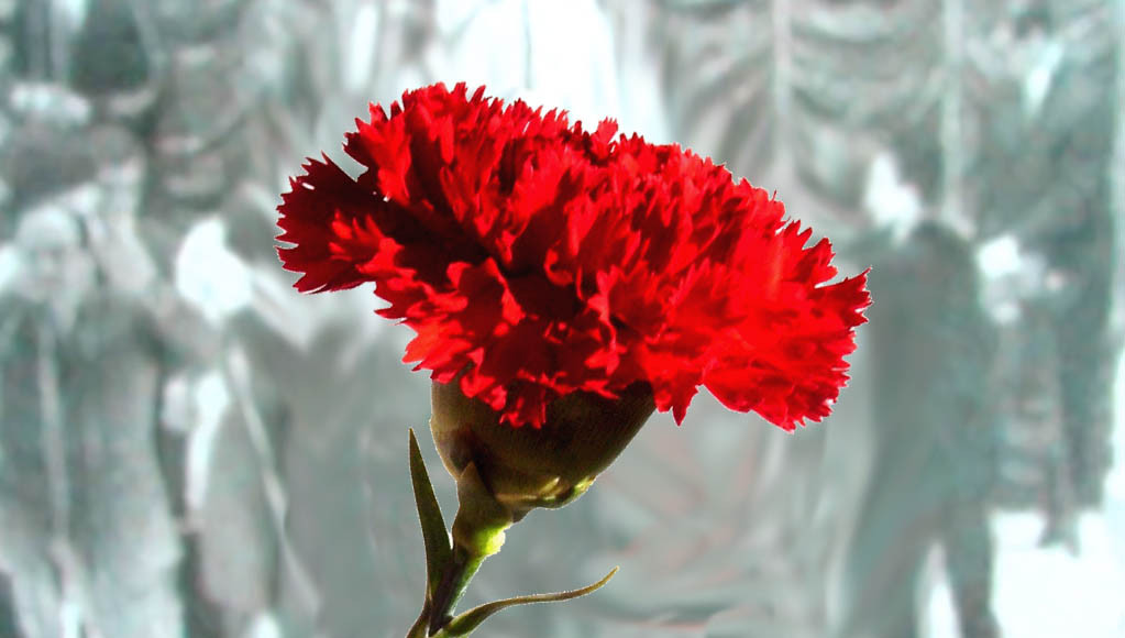 Conta-me como foi o 25 de Abril